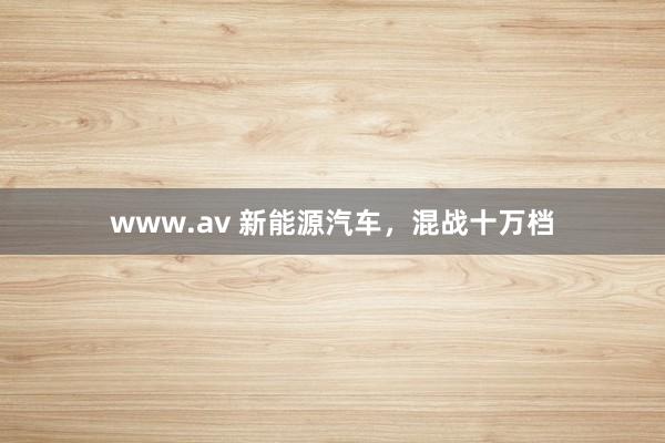 www.av 新能源汽车，混战十万档