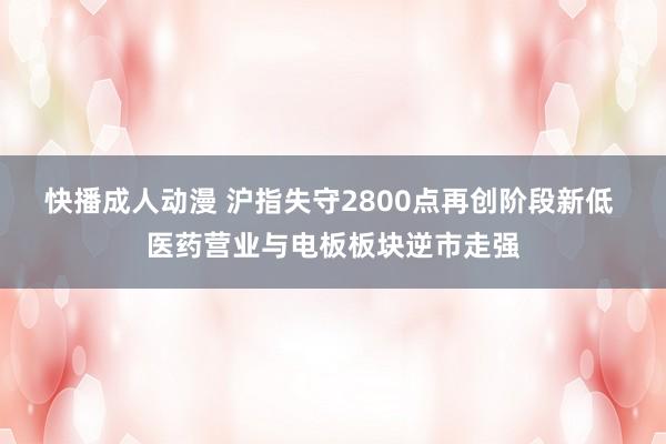 快播成人动漫 沪指失守2800点再创阶段新低 医药营业与电板板块逆市走强