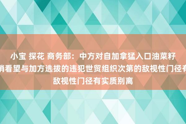 小宝 探花 商务部：中方对自加拿猛入口油菜籽发起反推销看望与加方选拔的违犯世贸组织次第的敌视性门径有实质别离