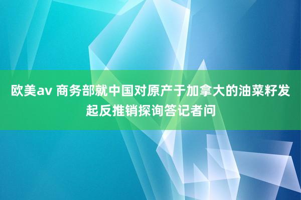 欧美av 商务部就中国对原产于加拿大的油菜籽发起反推销探询答记者问