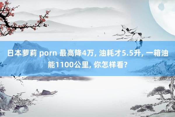 日本萝莉 porn 最高降4万， 油耗才5.5升， 一箱油能1100公里， 你怎样看?