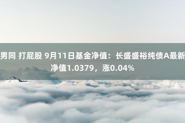 男同 打屁股 9月11日基金净值：长盛盛裕纯债A最新净值1.0379，涨0.04%