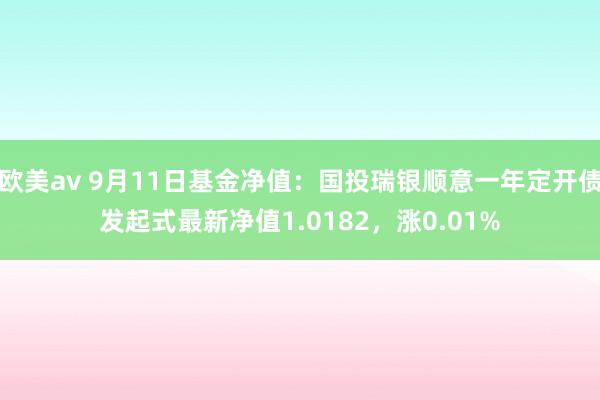 欧美av 9月11日基金净值：国投瑞银顺意一年定开债发起式最新净值1.0182，涨0.01%