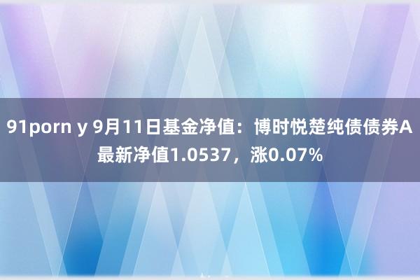 91porn y 9月11日基金净值：博时悦楚纯债债券A最新净值1.0537，涨0.07%