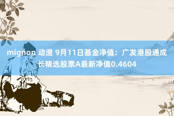 mignon 动漫 9月11日基金净值：广发港股通成长精选股票A最新净值0.4604