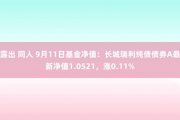 露出 同人 9月11日基金净值：长城瑞利纯债债券A最新净值1.0521，涨0.11%