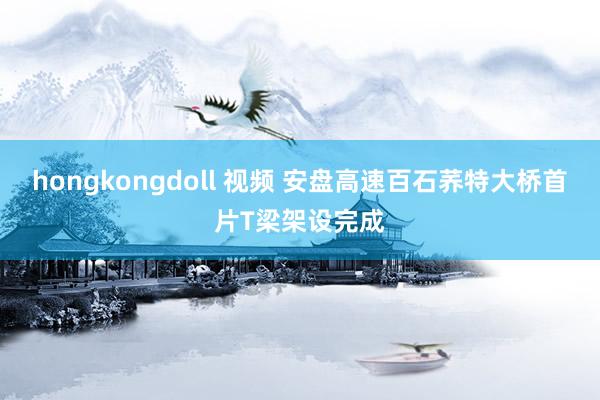 hongkongdoll 视频 安盘高速百石荞特大桥首片T梁架设完成