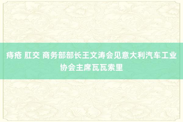 痔疮 肛交 商务部部长王文涛会见意大利汽车工业协会主席瓦瓦索里