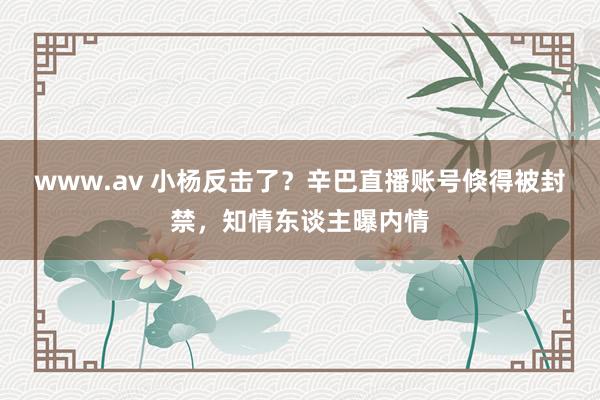 www.av 小杨反击了？辛巴直播账号倏得被封禁，知情东谈主曝内情