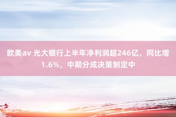 欧美av 光大银行上半年净利润超246亿，同比增1.6%，中期分成决策制定中