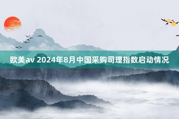 欧美av 2024年8月中国采购司理指数启动情况