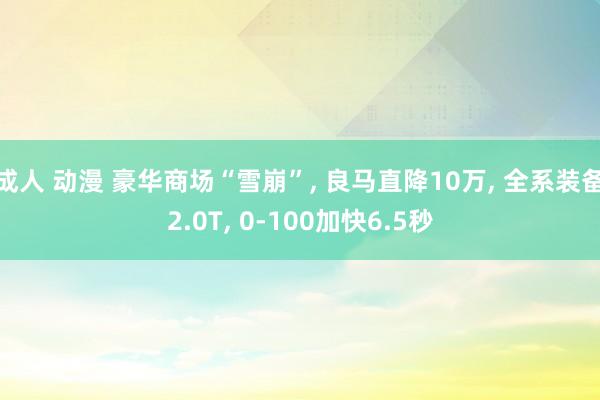 成人 动漫 豪华商场“雪崩”， 良马直降10万， 全系装备2.0T， 0-100加快6.5秒