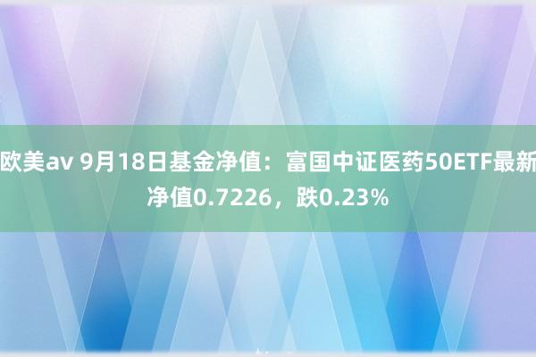 欧美av 9月18日基金净值：富国中证医药50ETF最新净值0.7226，跌0.23%