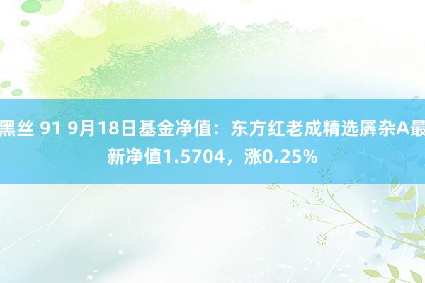 黑丝 91 9月18日基金净值：东方红老成精选羼杂A最新净值1.5704，涨0.25%