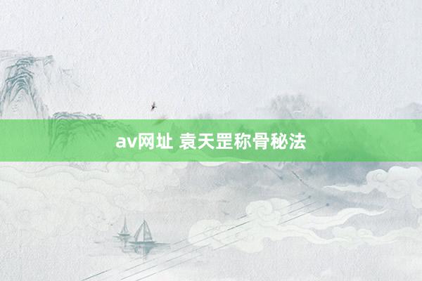 av网址 袁天罡称骨秘法