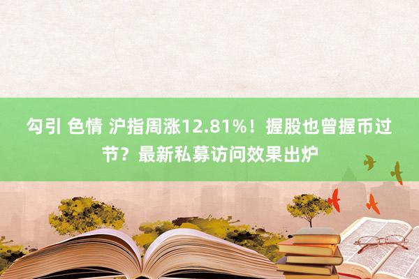 勾引 色情 沪指周涨12.81%！握股也曾握币过节？最新私募访问效果出炉