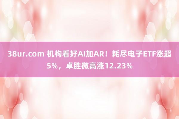 38ur.com 机构看好AI加AR！耗尽电子ETF涨超5%，卓胜微高涨12.23%