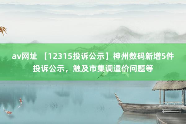 av网址 【12315投诉公示】神州数码新增5件投诉公示，触及市集调遣价问题等