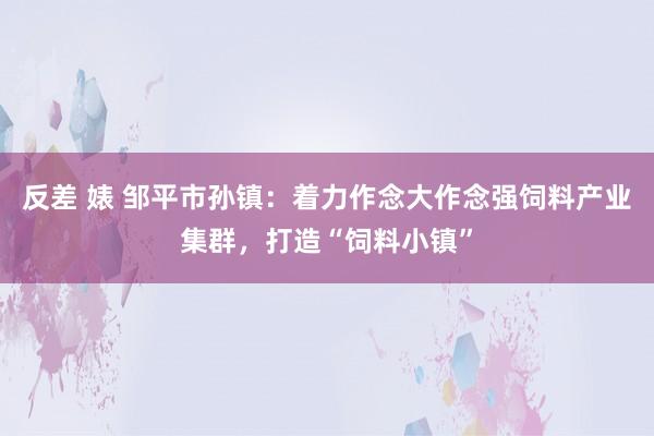 反差 婊 邹平市孙镇：着力作念大作念强饲料产业集群，打造“饲料小镇”