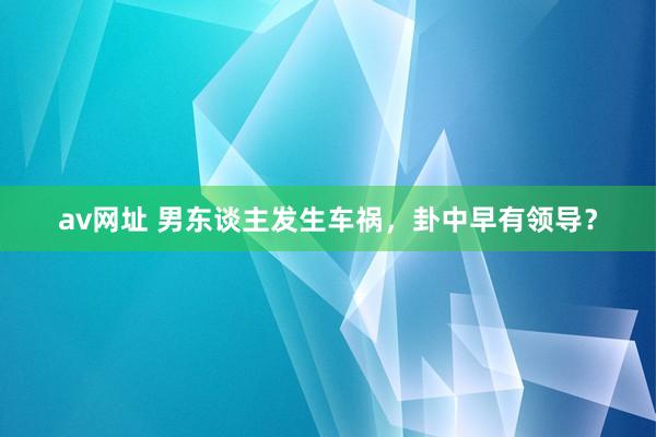 av网址 男东谈主发生车祸，卦中早有领导？