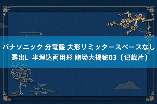 パナソニック 分電盤 大形リミッタースペースなし 露出・半埋込両用形 赌场大揭秘03（记载片）