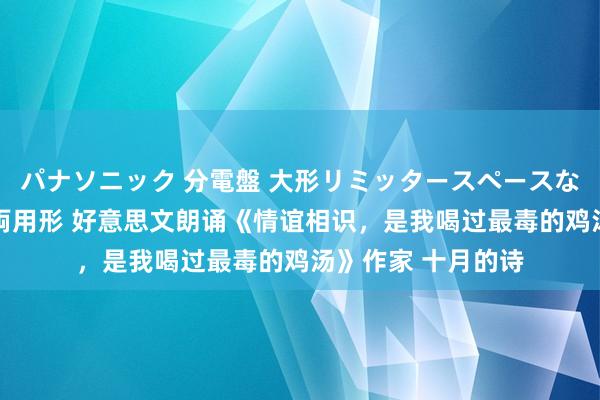 パナソニック 分電盤 大形リミッタースペースなし 露出・半埋込両用形 好意思文朗诵《情谊相识，是我喝过最毒的鸡汤》作家 十月的诗