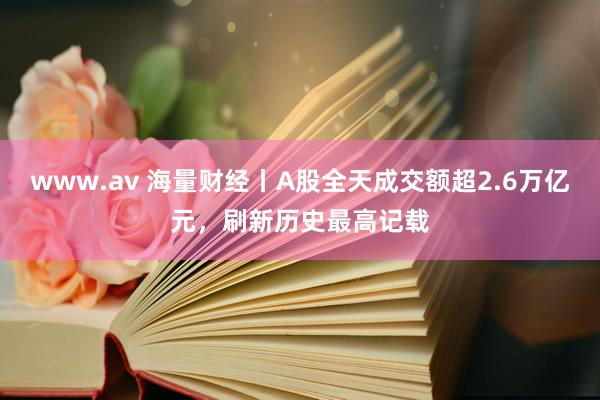 www.av 海量财经丨A股全天成交额超2.6万亿元，刷新历史最高记载