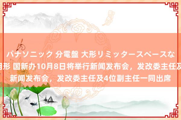 パナソニック 分電盤 大形リミッタースペースなし 露出・半埋込両用形 国新办10月8日将举行新闻发布会，发改委主任及4位副主任一同出席