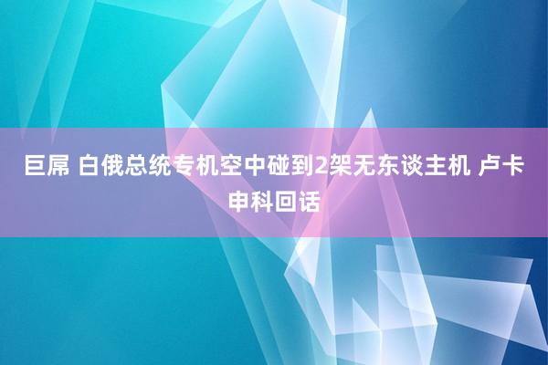 巨屌 白俄总统专机空中碰到2架无东谈主机 卢卡申科回话