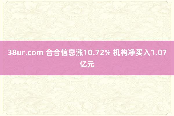 38ur.com 合合信息涨10.72% 机构净买入1.07亿元