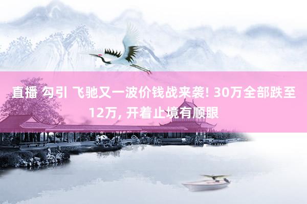 直播 勾引 飞驰又一波价钱战来袭! 30万全部跌至12万， 开着止境有顺眼