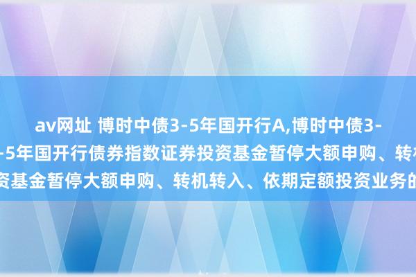 av网址 博时中债3-5年国开行A，博时中债3-5年国开行C: 博时中债3-5年国开行债券指数证券投资基金暂停大额申购、转机转入、依期定额投资业务的公告