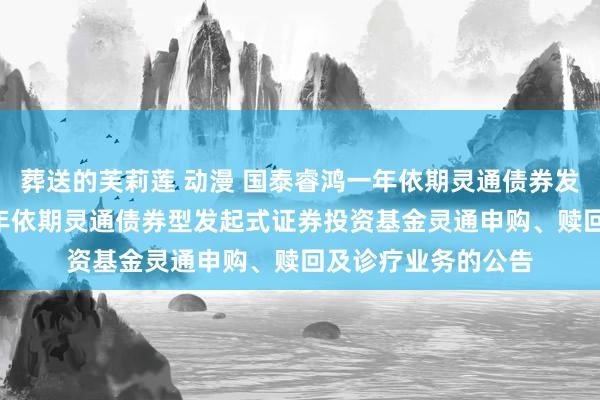 葬送的芙莉莲 动漫 国泰睿鸿一年依期灵通债券发起式: 国泰睿鸿一年依期灵通债券型发起式证券投资基金灵通申购、赎回及诊疗业务的公告