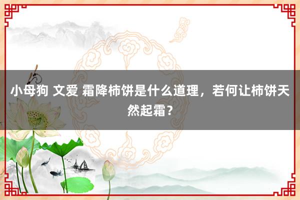 小母狗 文爱 霜降柿饼是什么道理，若何让柿饼天然起霜？