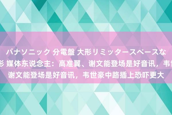 パナソニック 分電盤 大形リミッタースペースなし 露出・半埋込両用形 媒体东说念主：高准翼、谢文能登场是好音讯，韦世豪中路插上恐吓更大