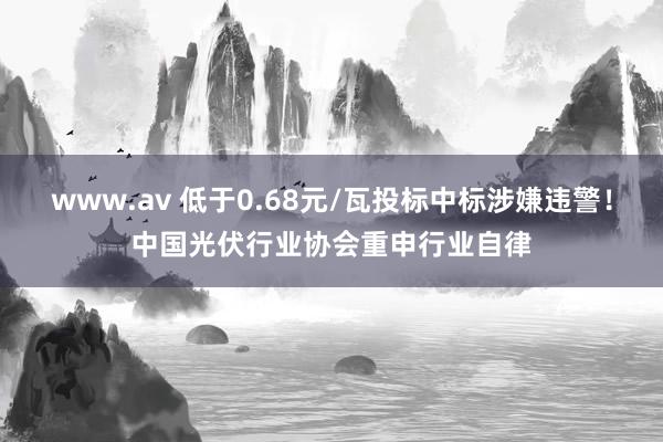 www.av 低于0.68元/瓦投标中标涉嫌违警！中国光伏行业协会重申行业自律