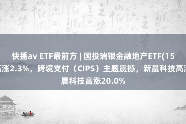 快播av ETF最前方 | 国投瑞银金融地产ETF(159933)高涨2.3%，跨境支付（CIPS）主题震撼，新晨科技高涨20.0%