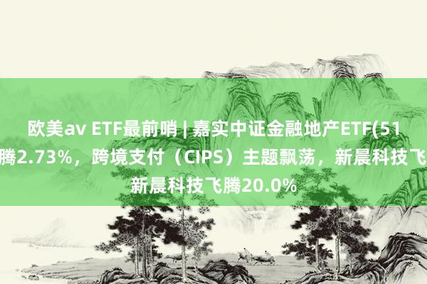 欧美av ETF最前哨 | 嘉实中证金融地产ETF(512640)飞腾2.73%，跨境支付（CIPS）主题飘荡，新晨科技飞腾20.0%