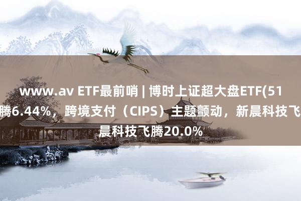 www.av ETF最前哨 | 博时上证超大盘ETF(510020)飞腾6.44%，跨境支付（CIPS）主题颤动，新晨科技飞腾20.0%