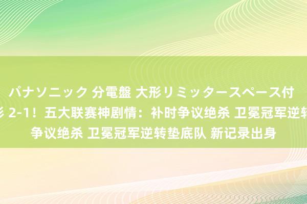 パナソニック 分電盤 大形リミッタースペース付 露出・半埋込両用形 2-1！五大联赛神剧情：补时争议绝杀 卫冕冠军逆转垫底队 新记录出身