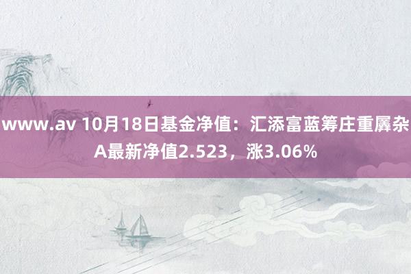 www.av 10月18日基金净值：汇添富蓝筹庄重羼杂A最新净值2.523，涨3.06%