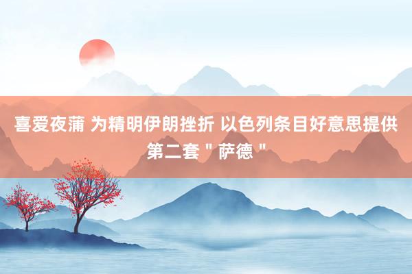 喜爱夜蒲 为精明伊朗挫折 以色列条目好意思提供第二套＂萨德＂