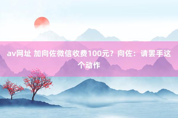 av网址 加向佐微信收费100元？向佐：请罢手这个动作