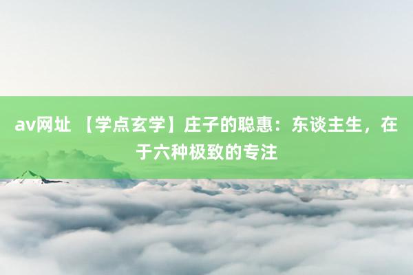 av网址 【学点玄学】庄子的聪惠：东谈主生，在于六种极致的专注