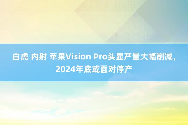 白虎 内射 苹果Vision Pro头显产量大幅削减，2024年底或面对停产