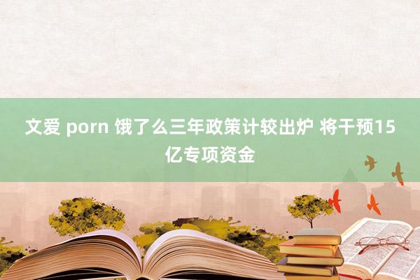 文爱 porn 饿了么三年政策计较出炉 将干预15亿专项资金