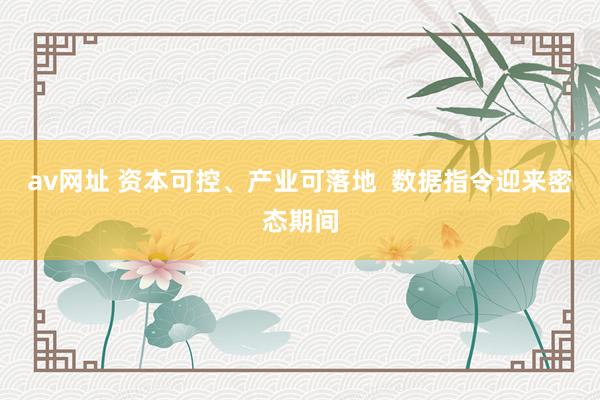 av网址 资本可控、产业可落地  数据指令迎来密态期间