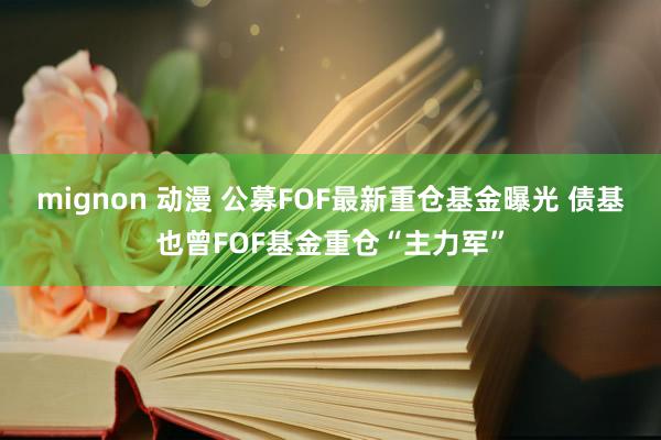 mignon 动漫 公募FOF最新重仓基金曝光 债基也曾FOF基金重仓“主力军”