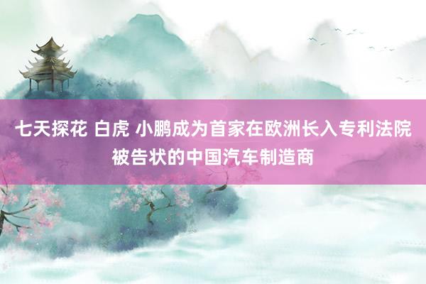 七天探花 白虎 小鹏成为首家在欧洲长入专利法院被告状的中国汽车制造商