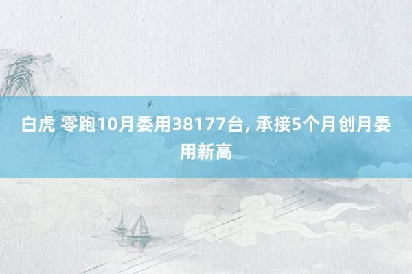 白虎 零跑10月委用38177台， 承接5个月创月委用新高